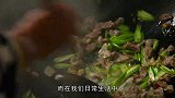 被美国列入“黑名单”的4种蔬菜，中国人却喜欢吃，几乎天天吃！