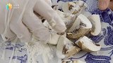 【日日煮】烹饪短片 - 奶油野菌炖鸡肉