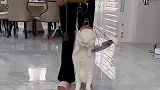 在妈妈眼里，白猫和灰猫就是一头猪和10斤猪肉的区别