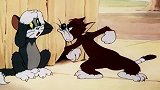 猫和老鼠 布奇：汤姆你不是猫你是真的狗啊