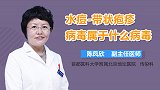水痘-带状疱疹病毒属于什么病毒？