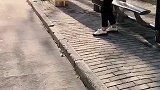 宠儿多萌宠故事