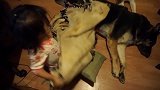 狗狗要睡觉，小宝宝熟练的给狗狗盖上了被子，然后自己也躺在旁边