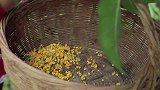 收集秋天最香的花，做传统中秋美食