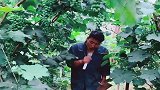 民间男歌手一首《没有喝够》，一开口就震撼了，好听极了！