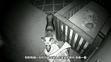 小伙长期和猫咪一起睡，偶然一次查看卧室监控，发现了不寻常的事