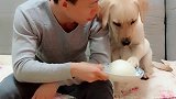 馒头里的东西，让狗狗的表情逐渐凝固，太搞笑了！