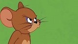 猫和老鼠：这个苍蝇真是烦死人了机灵的小杰瑞也没办法