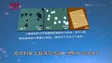 Nano Research丨科学家研制出超薄单晶碲化铅纳米片