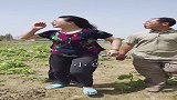 农村小伙赌气离家出走，老头使苦肉计劝回，不料羊入虎口遭戏耍