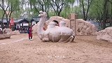 看沙漠骆驼，观春季美景，大唐芙蓉园值得一游