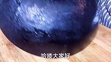 铁锅用时间长了又脏又粘锅，教你最简单的处理方法，旧锅秒变新锅