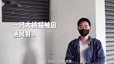 这年头做公猫，不有点求生欲还真不行！