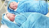 刚生下来的双胞胎婴儿，一个不肯睁眼，一个不肯闭眼，太逗了