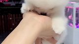 洗洗飞新家