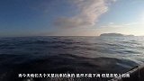 俄罗斯大叔出海钓鱼，半小时钓一船！这下赚大了！