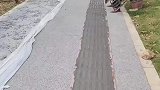 领导说了三天之内盲道要完工！钱不是问题