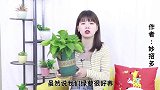家里摆放绿萝，这4个位置不能放！别以为是小事，看完回家快拿走