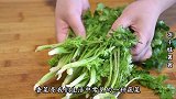香菜这么吃，血管干净不堵塞，三高不近身，一辈子不受血栓困扰