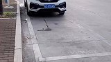 竹竿兄洪小洁出门玩了