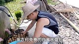 亲民哥做干洋芋片当零食邻居小孩被馋哭详情步骤方法细节快收藏