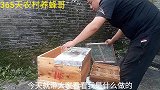如何防止蜜蜂起分蜂热呢把蜜蜂养成强群，农村小伙是如何做的