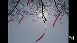 热爱和自由比什么都重要