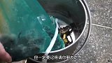金黄酥脆的林蛙口感饱满，只有原汁原味才能更好得品尝出肉质的鲜美