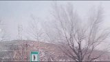 听说哥哥要回来，妹妹早早就在门口等着，为啥我的妹妹天天想打我