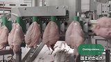 荷兰鸡胸肉脱骨流水线，机械刀精准到位骨肉瞬间分离！