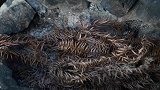 隐居深山, 用绳子绑着五花肉, 这种煮法你见过吗