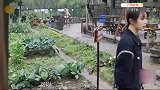 张子枫杨紫合力整蛊张艺兴，抓彩灯密谋恶作剧，张艺兴慌忙逃窜