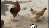 来来来，跟我一起鸡爪甩起来，这是魔鬼的步伐