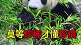 莫等珍稀才懂珍惜！