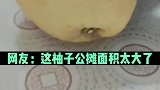 网友切柚子，三刀下去没果肉