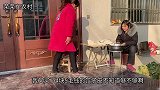 家里面粉吃完了，媳妇向婆婆抱怨老公不操心，没想到老公还挺横