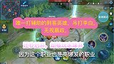 唯一打辅助的刺客英雄，吊打李白，无视赢政，还秒后羿，却被嫌弃