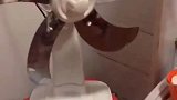 这样的风扇你们见过吗