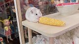 你们也是这样吗