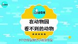 6个在动物园看不到的动物，大白鲨养不起，水滴鱼不敢养