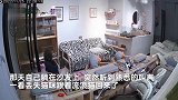 猫咪丢失找寻5天无果，最后竟被流浪猫遣送回家，主人难以置信：没白喂！