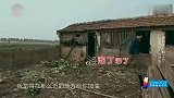 干农活时的名场面，罗志祥憋气铲粪，黄渤看戏：粘粘的稠稠的