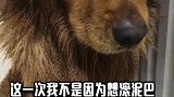 全小区的母狗，想想就觉得刺激！