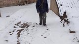 你管的真多，这么多的雪