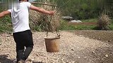 二哥吃“盐蛋”一口咬下去，蛋黄口感太劲道了