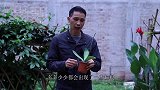 蝴蝶兰雨天积水烂根，要注意什么？如何处理？