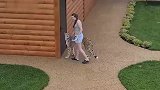 家养猎豹抢肉，吓得女主人狂奔不止