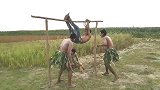 国外搞笑合集，最后一个是野人来袭，好好笑啊