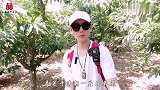 探访树林里的殉葬墓，墓主人是谁呢？地宫内的尸体竟被烧成灰！