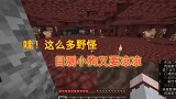 我的世界1.16联机237：哇！这么多野怪，目测小狗又要凉凉